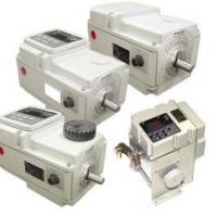 Электропривод Honeywell Herculine 2000 фото