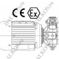 Мотор-насос Berarma GMPX-ATEX фото