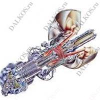 Газовая турбина Solar Turbines, серия Centaur 50 фото