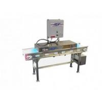 RGF Conveyor Belt Sanitation Hood фото