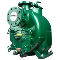 Pioneer pump GS3087L75-HO | Центробежный насос фото