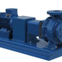 Apex Pumps ISF | Центробежный насос фото