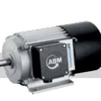 ABM Greiffenberger Induction Motor 56 | Индукционный двигатель фото