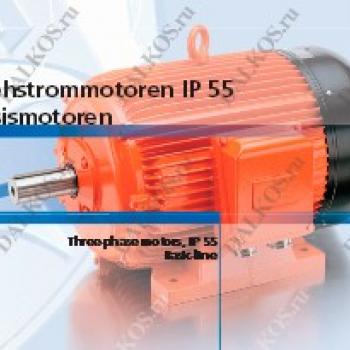 Трехфазный двигатель EMOD Basic-line фото 1