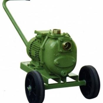 Victor Pumps S105K312T | Центробежный насос фото 1