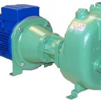 Victor Pumps S82K312B | Центробежный насос фото 1