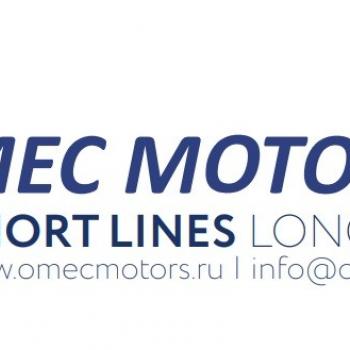 OMEC Motors T3A-RT-IE3 200L2-6 кВт: 22 | Асинхронный двигатель фото 1