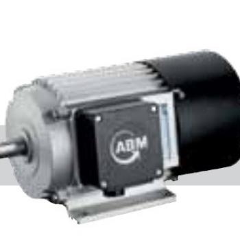 ABM Greiffenberger Induction Motor 56 | Индукционный двигатель фото 1