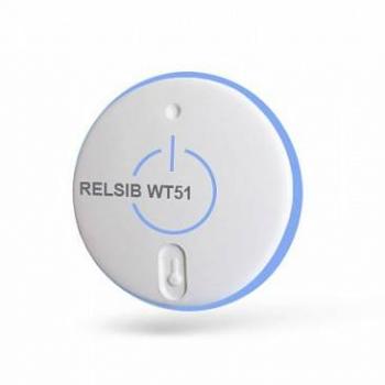 RELSIB WT51-S - термометр с передачей данных на Bluetooth фото 1